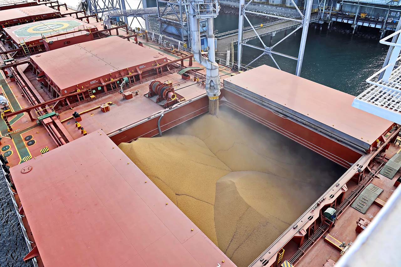 Un granelero carga cereal.