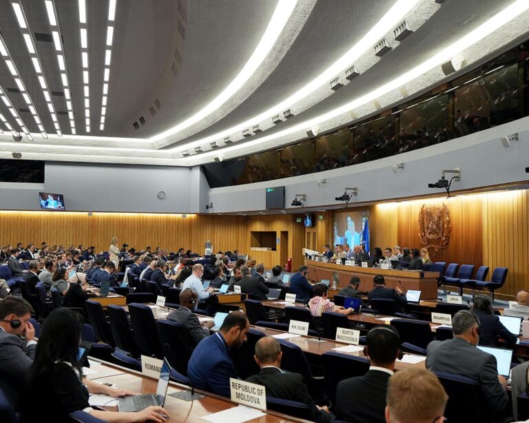 Plenario de la 137 sesión del Consejo de la OMI.